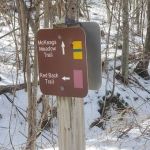 Sterling Forest South Gate Trailhead