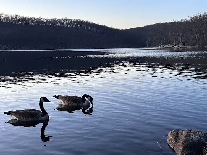 Lake Sebago Boat Launch (By PERMIT Only) Picture 6