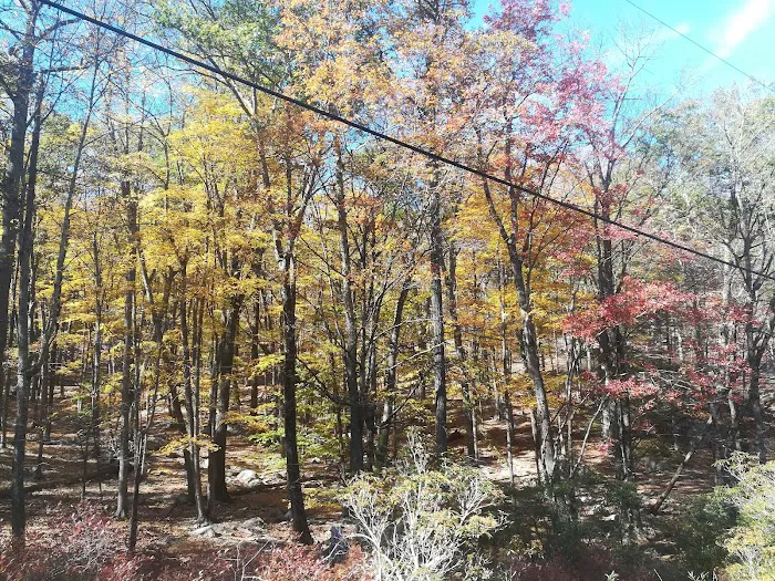 Lake Sebago Picture 10