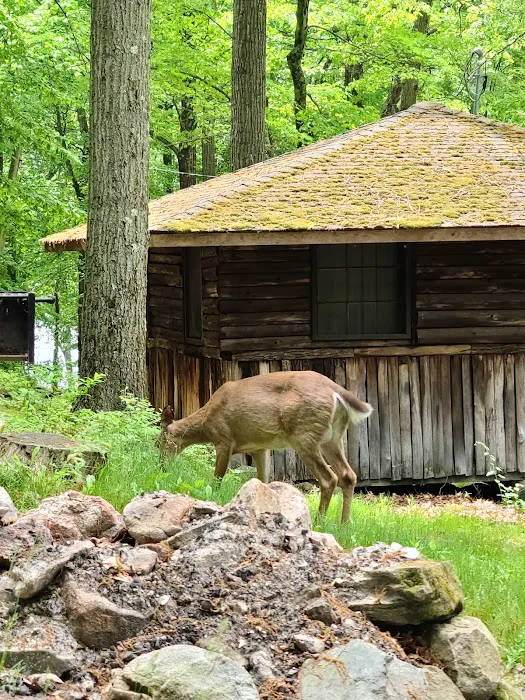 Sebago Cabin Camp Picture 6