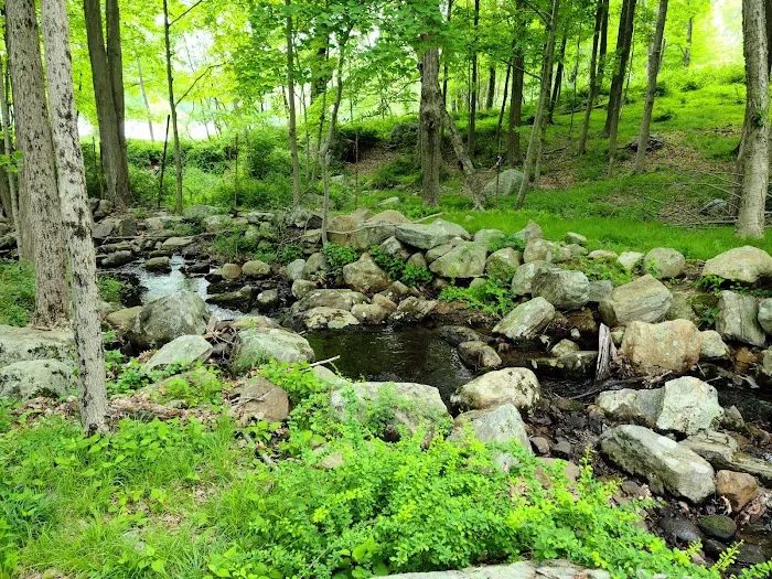 Sebago Cabin Camp Picture 9