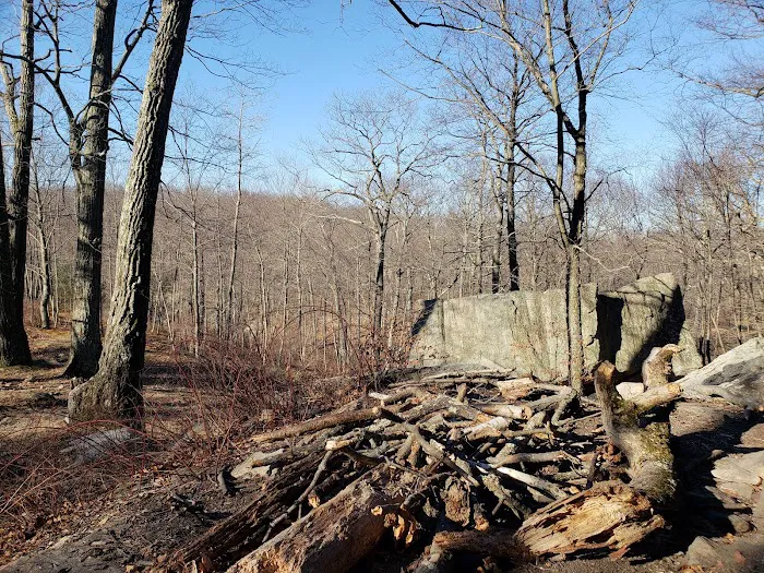 Dutch Doctor Shelter Picture 7