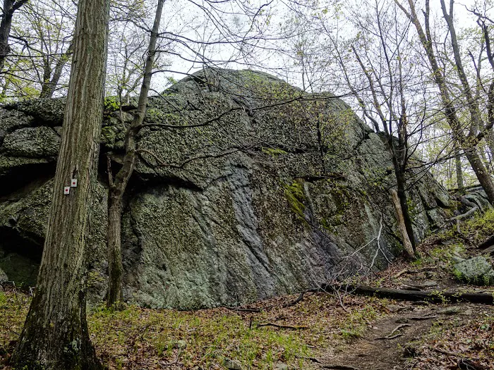R-D Trail Picture 9