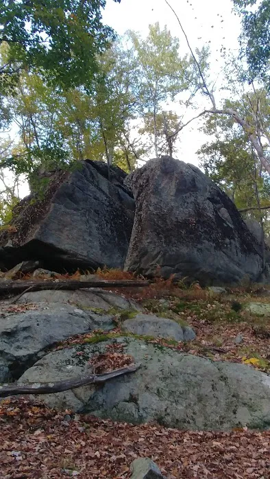R-D Trail Picture 3