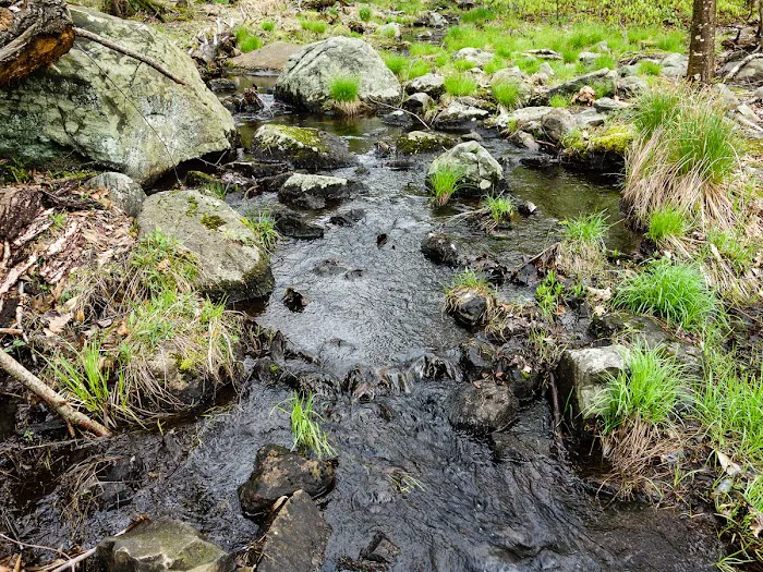 R-D Trail Picture 7