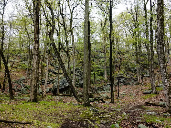 R-D Trail Picture 10