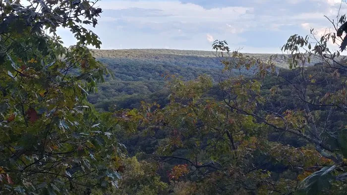 R-D Trail Picture 2