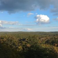 R-D Trail ico