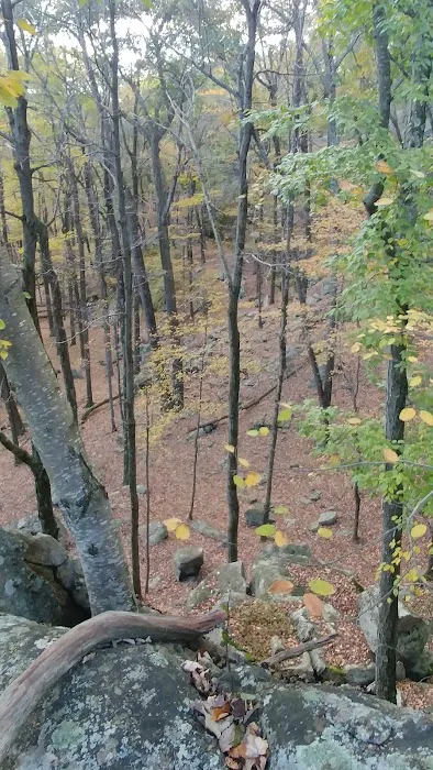 R-D Trail Picture 4