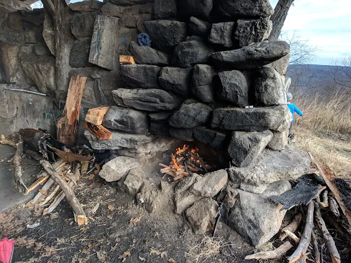 Tom Jones Shelter Picture 2