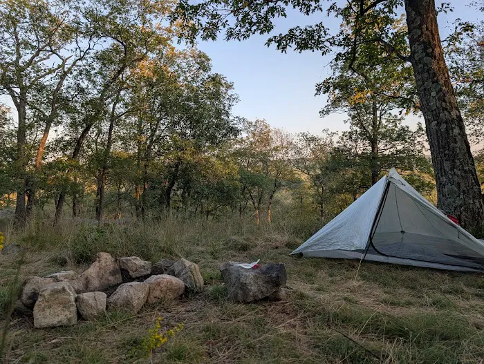 Tom Jones Shelter Picture 1