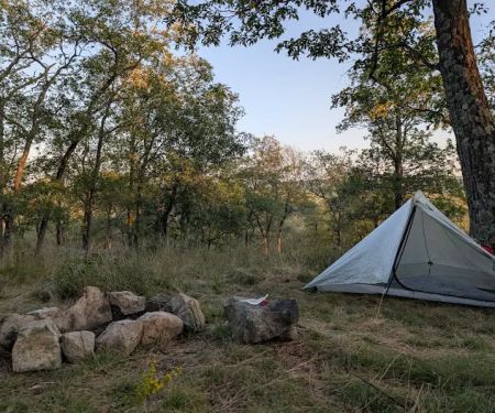 Tom Jones Shelter