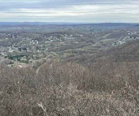 Pyngyp Mountain Rock Scramble Trail