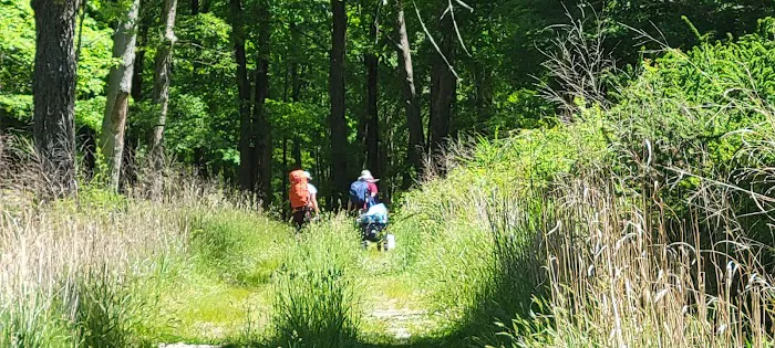 Lake Skenonto Picture 7