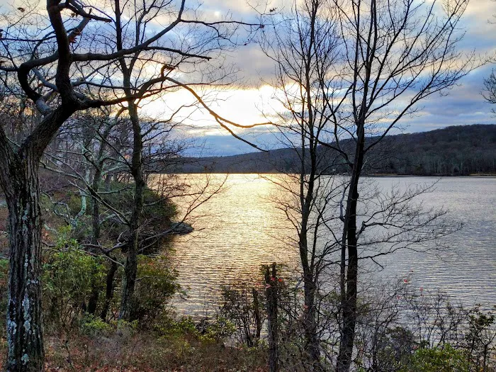 Lake Tiorati Picture 10