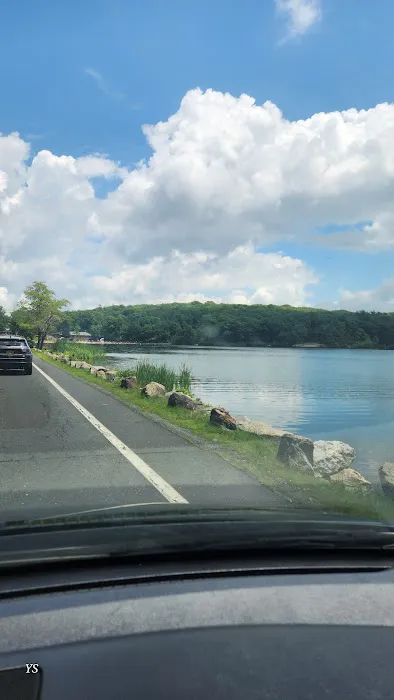 Lake Tiorati Picture 5