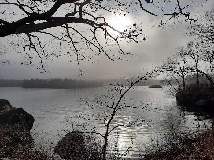 Lake Tiorati Picture 1