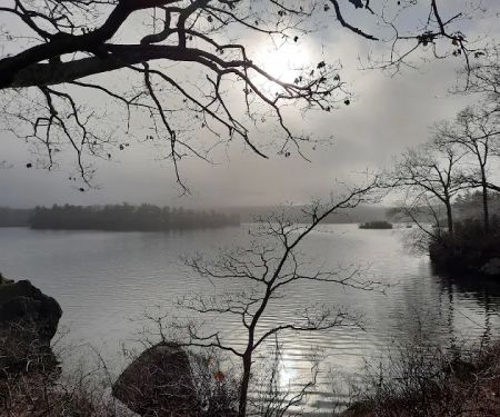 Lake Tiorati