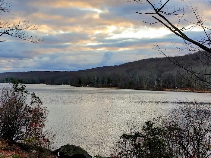 Lake Tiorati Picture 9