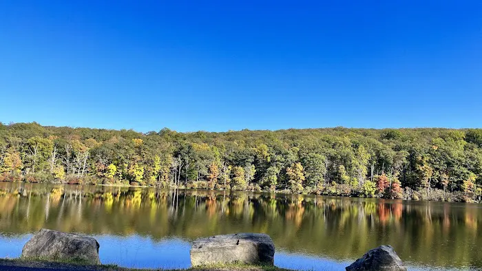 Lake Tiorati Picture 4