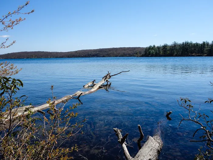 Cedar Pond Campground Picture 3