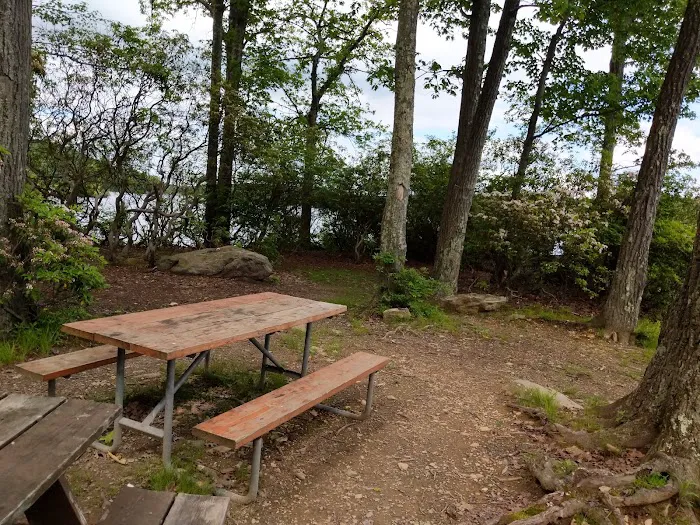 Cedar Pond Campground Picture 9