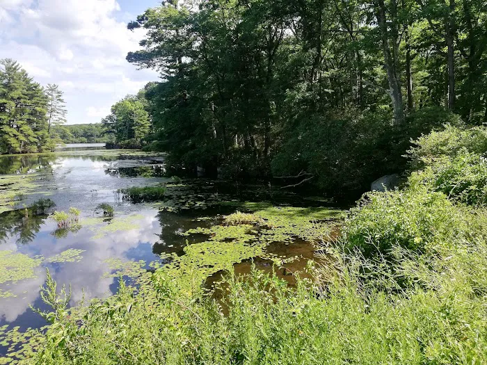 Cedar Pond Campground Picture 8