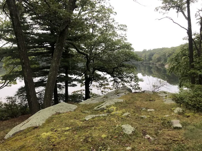 Cedar Pond Campground Picture 2