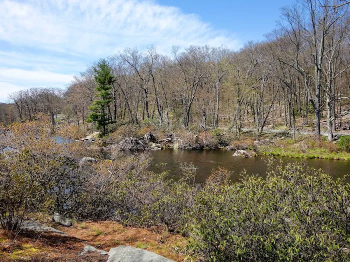 Cedar Pond Campground Picture 6
