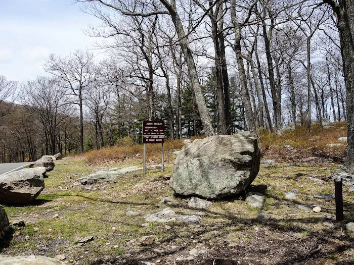 Tiorati Plateau Campground (Reservation Required) Picture 5