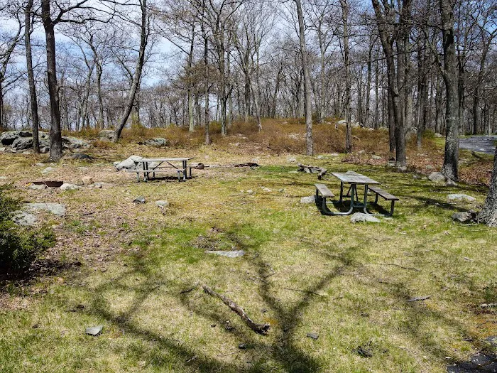 Tiorati Plateau Campground (Reservation Required) Picture 4