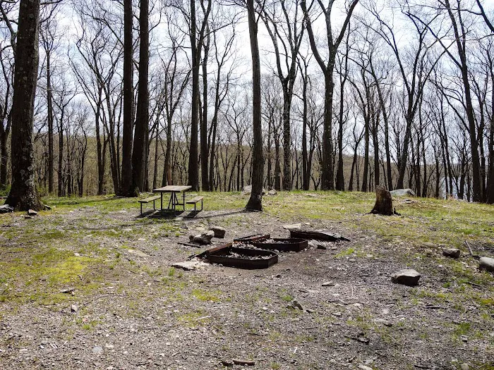 Tiorati Plateau Campground (Reservation Required) Picture 7