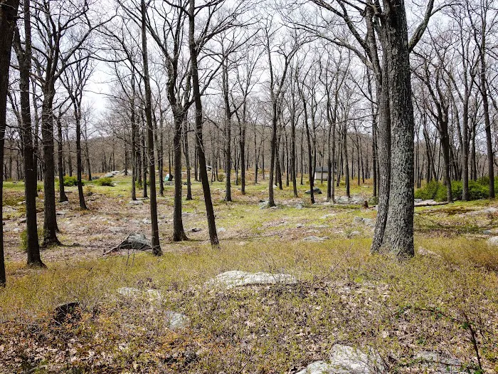 Tiorati Plateau Campground (Reservation Required) Picture 6
