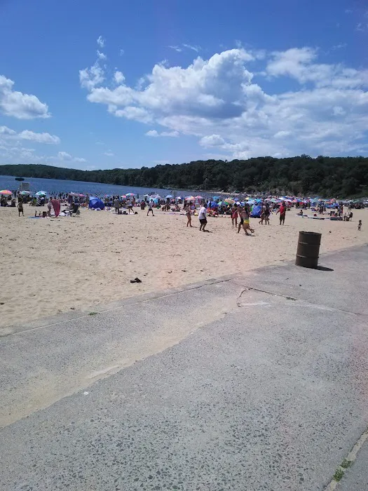 Tiorati Lake Recreation Area Picture 3