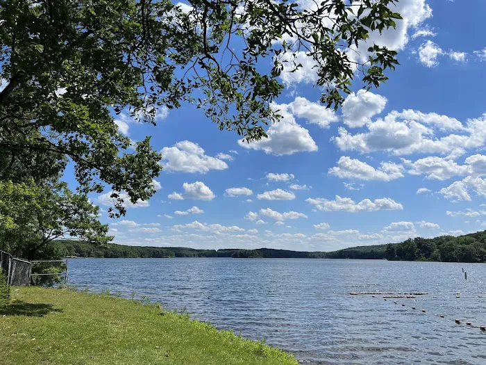 Tiorati Lake Recreation Area Picture 8