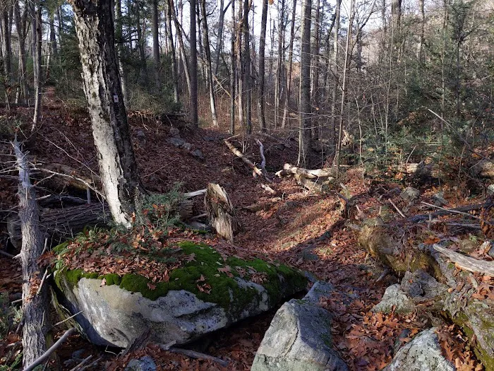Arden Surebridge Trail (red markers) Picture 3