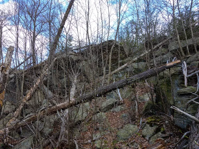 Arden Surebridge Trail (red markers) Picture 6