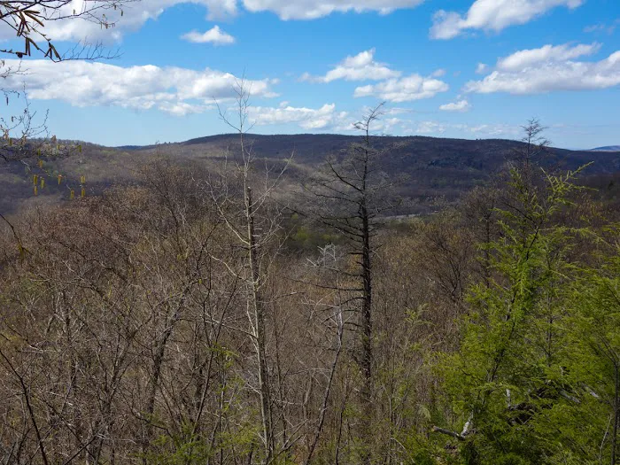 Arden Surebridge Trail (red markers) Picture 2