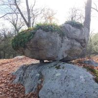 Arden Surebridge Trail (red markers) ico