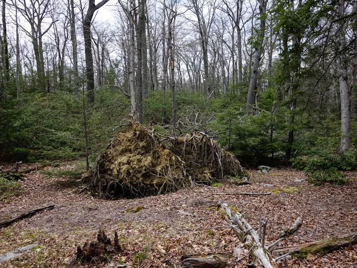 Stahahe High Peak Picture 5
