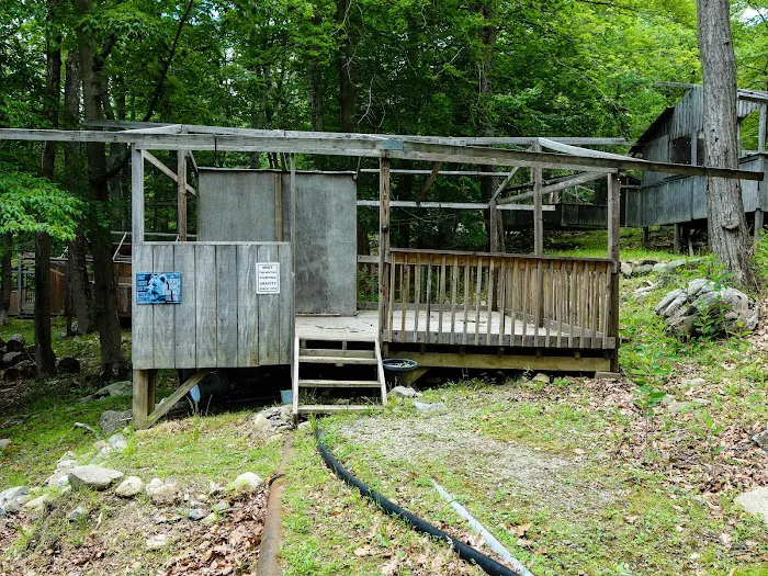 Camp Eureka Picture 4