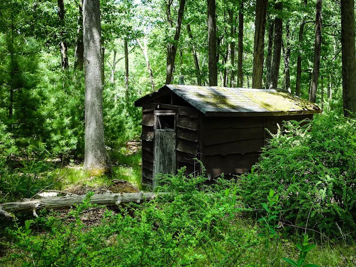 Camp Winonah Picture 9