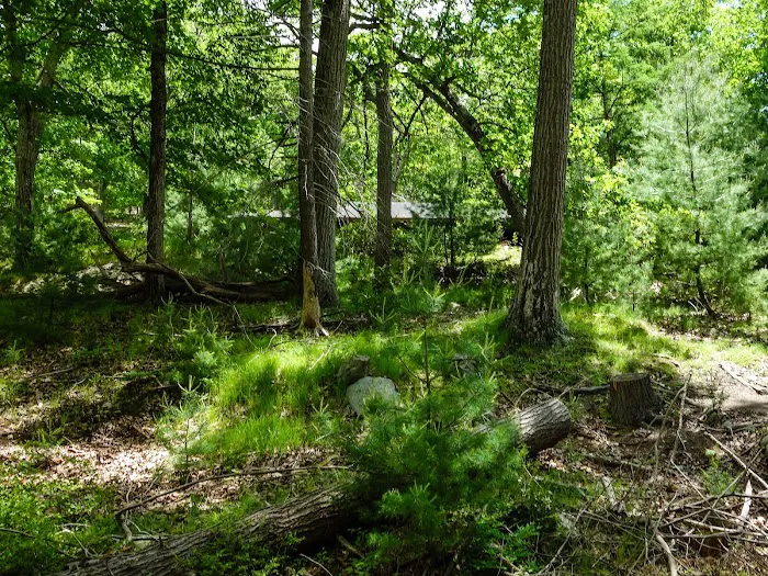 Camp Winonah Picture 6