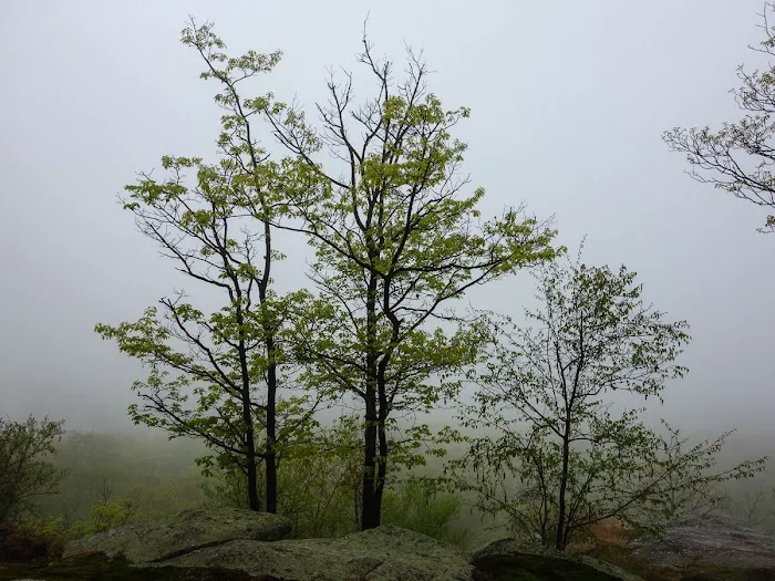 Tuxedo Lookout Picture 6
