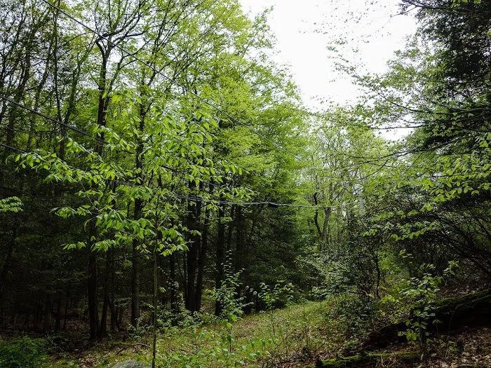 Triangle trailhead Picture 1