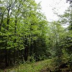 Triangle trailhead