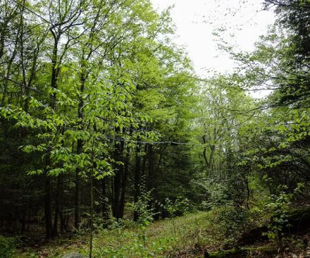 Triangle trailhead