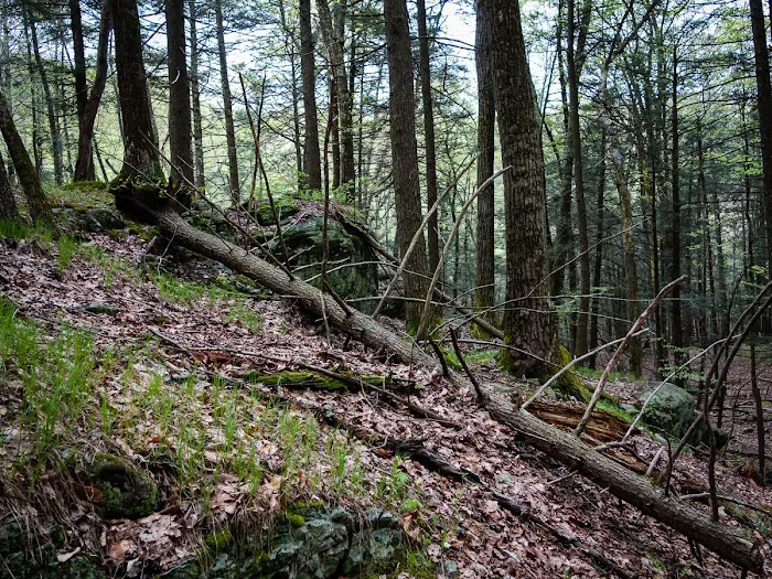 Triangle trailhead Picture 4