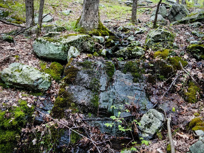 Triangle trailhead Picture 8