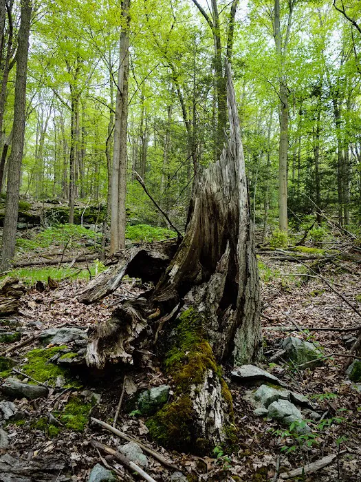 Triangle trailhead Picture 7